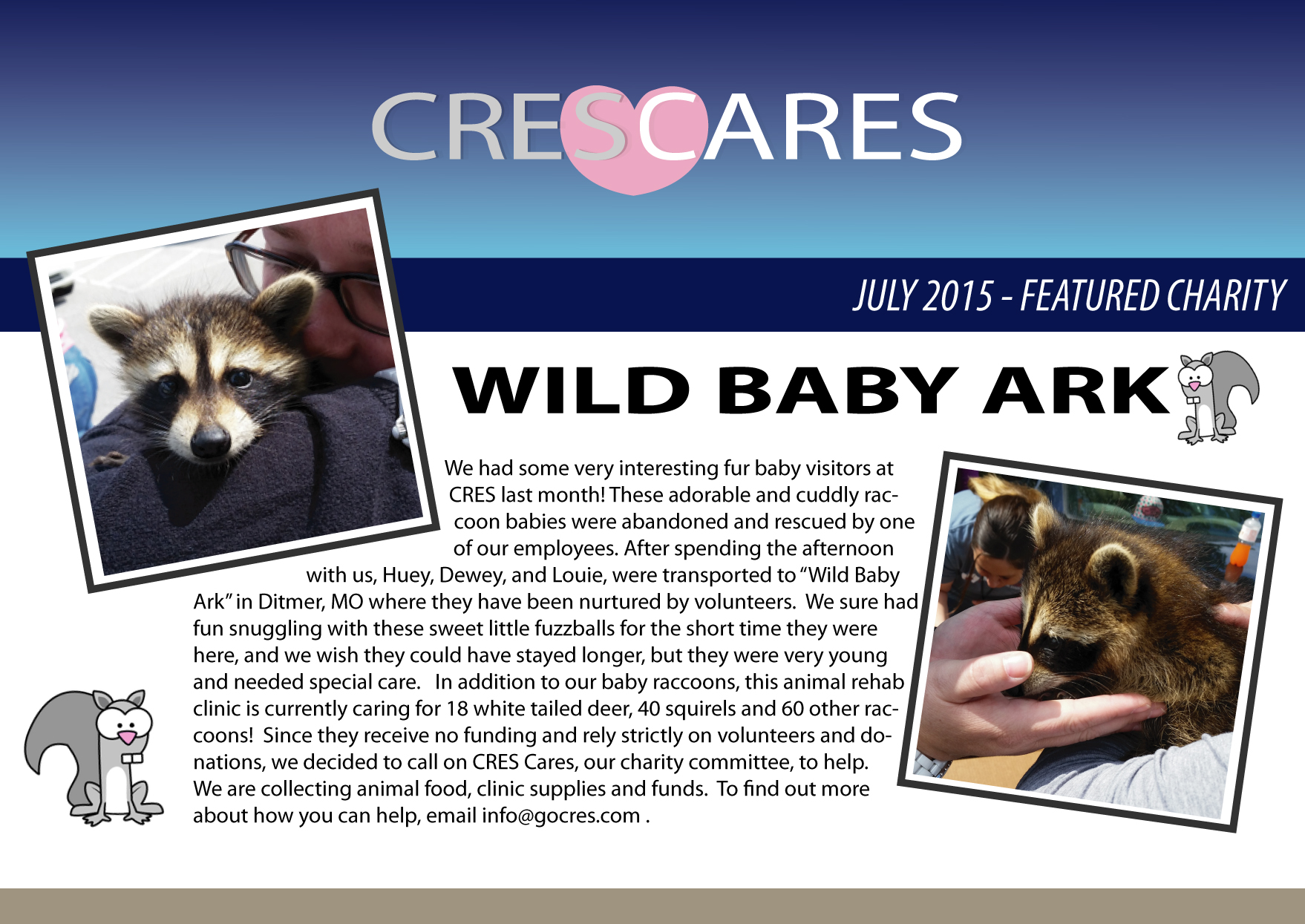 Raccoon-Promotion-Featured-Charity-July-2015